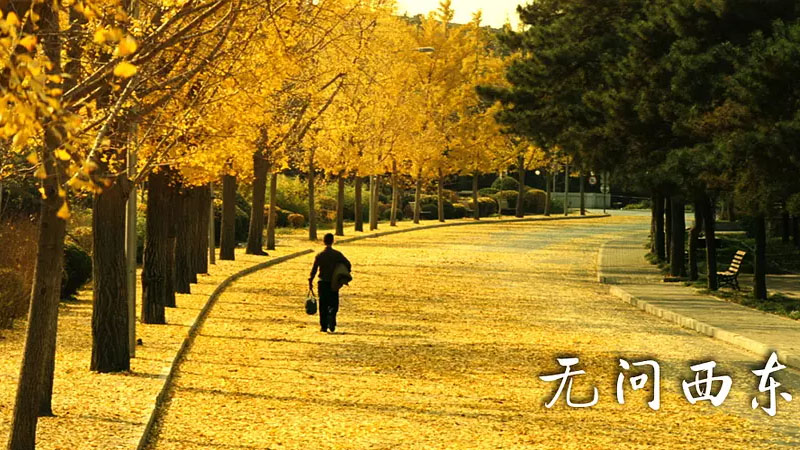 《无问西东》剧照图片,无问西东高清壁纸